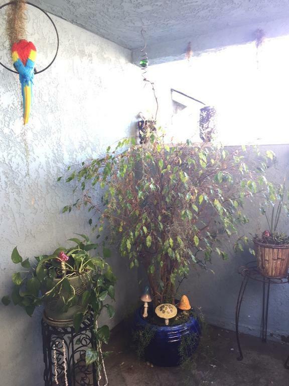 Pacific Beach Butterfly Suite San Diego Zewnętrze zdjęcie