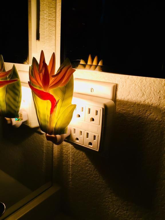 Pacific Beach Butterfly Suite San Diego Zewnętrze zdjęcie